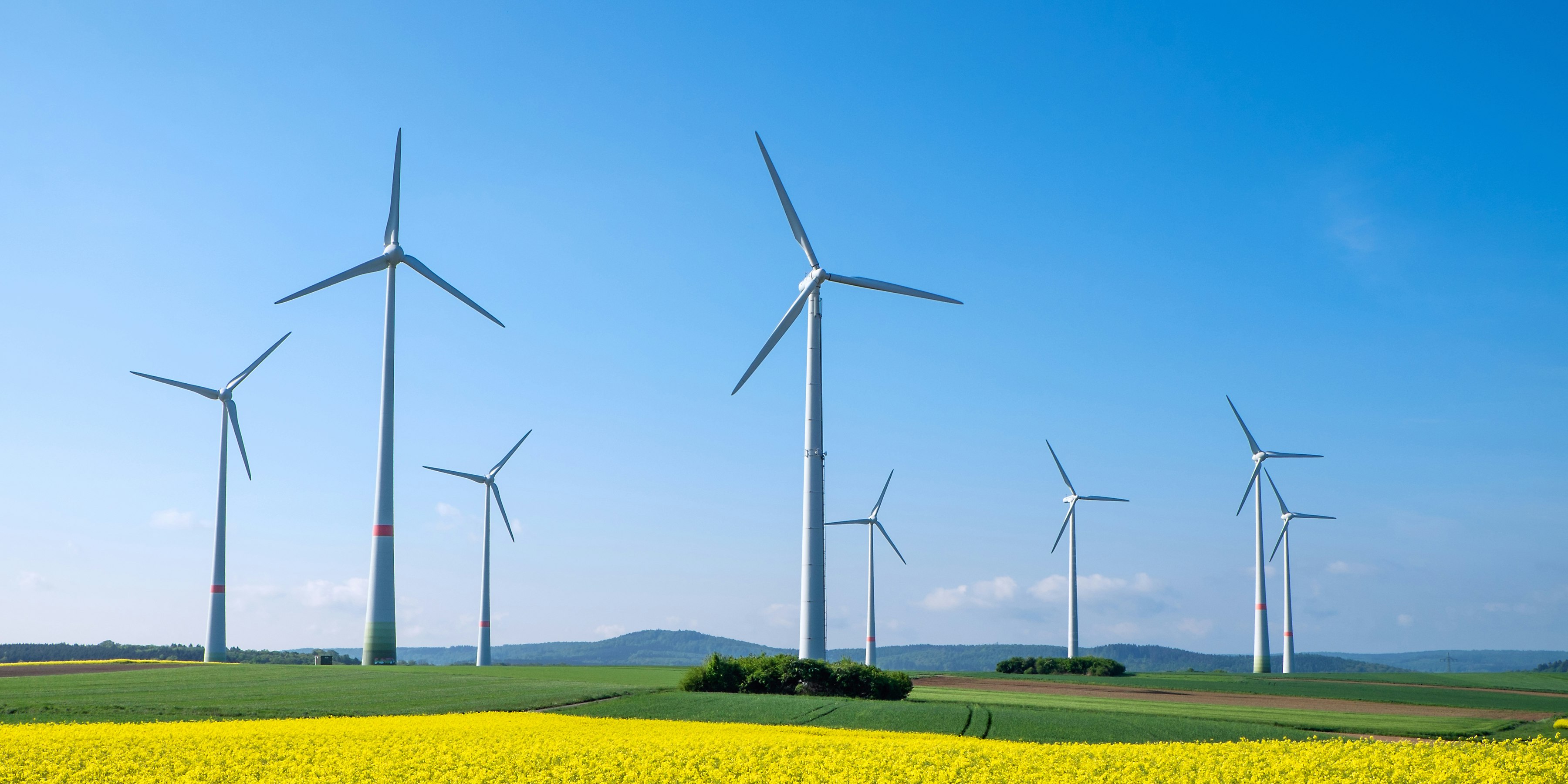 Eine neue Studie analysiert die möglichen gesundheitlichen Auswirkungen von Windkraft.