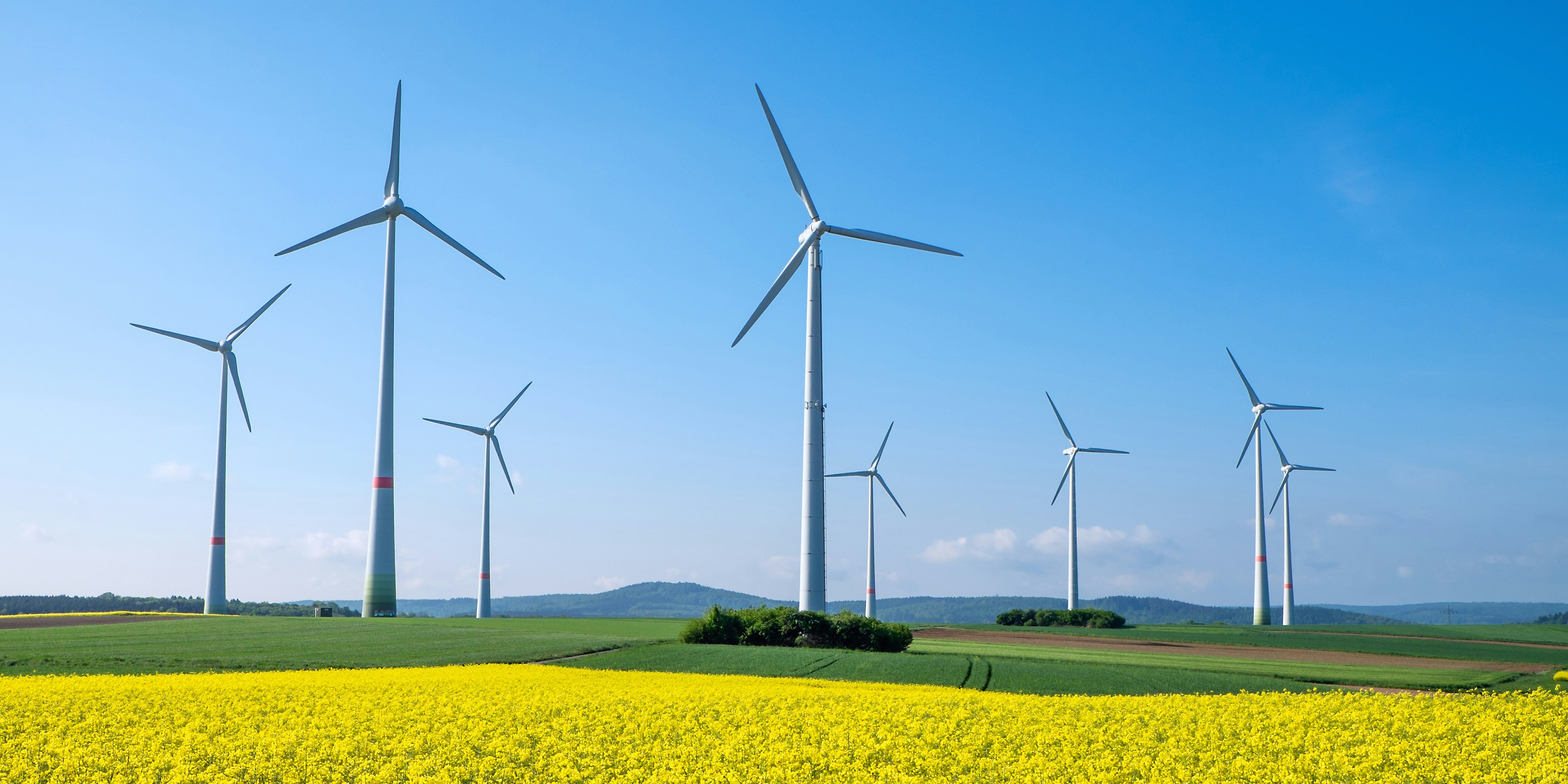 Eine neue Studie analysiert die möglichen gesundheitlichen Auswirkungen von Windkraft.