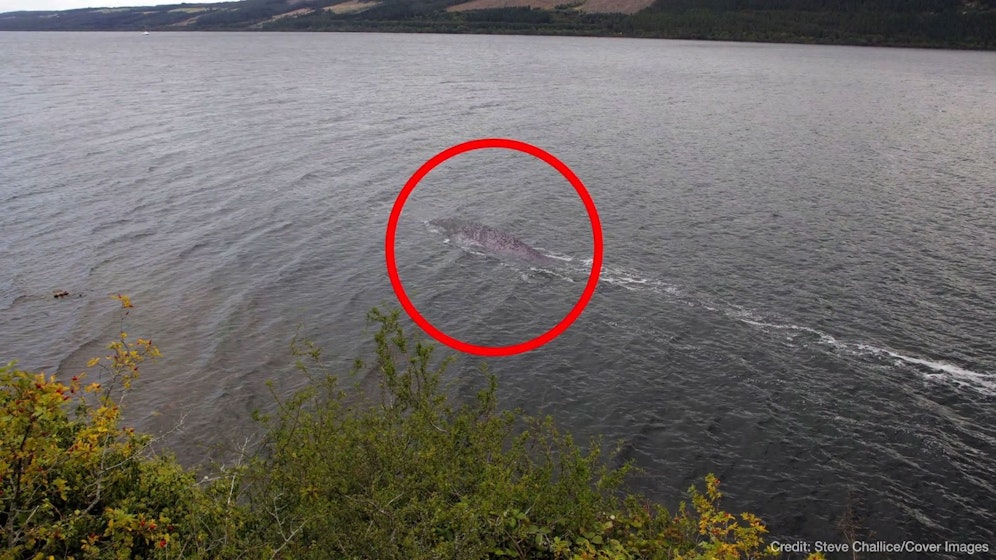 Ist das tatsächlich Nessie?