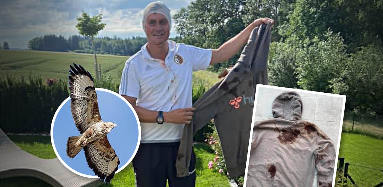 Heute.at - Jogger (49) von Mäusebussard attackiert