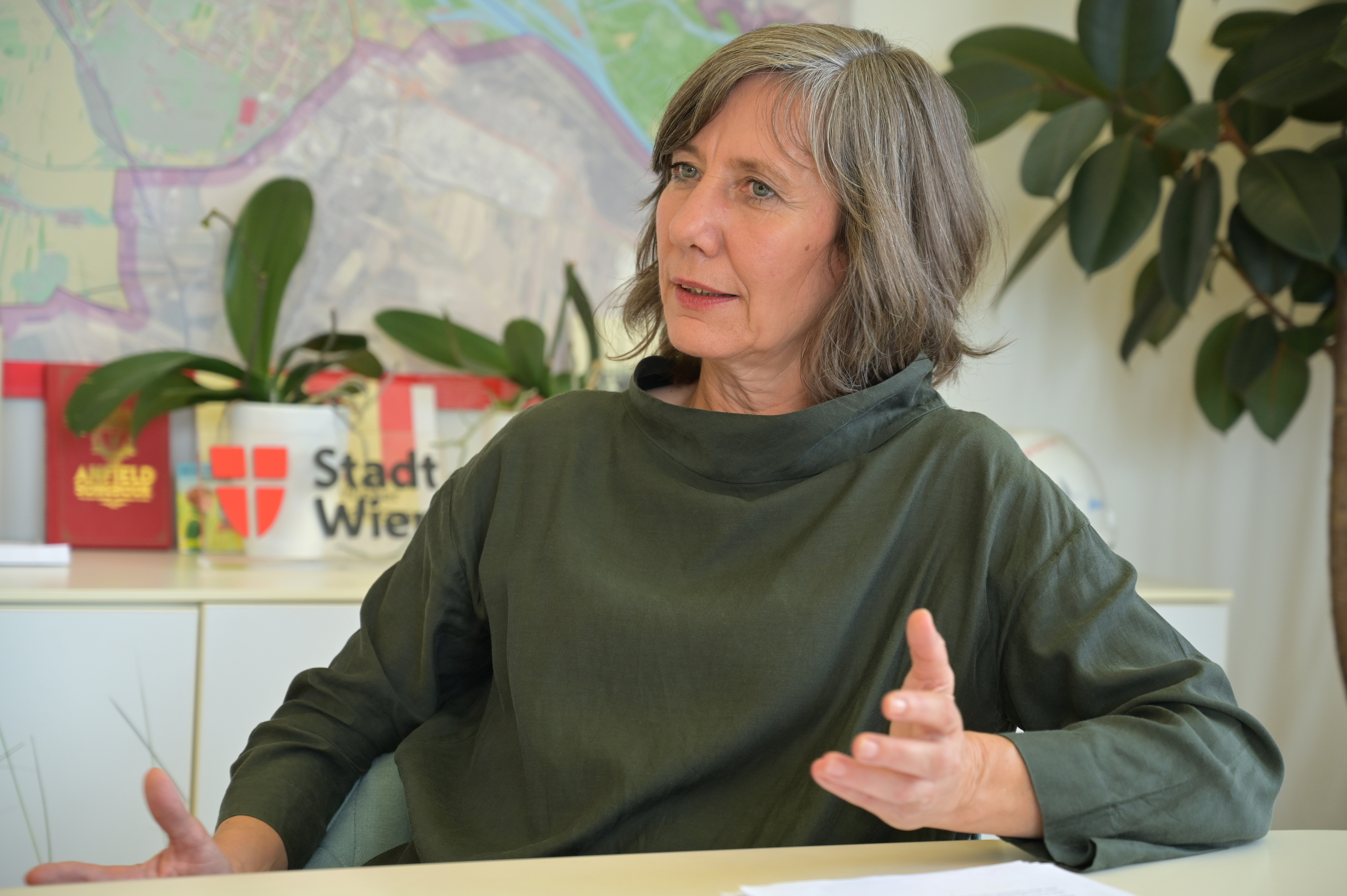 Anfang Juli will Hebein ein Gesamtkonzept zum Verkehr in Wien vorlegen - ein neues System zur Parkraumbewirtschaftung inklusive.