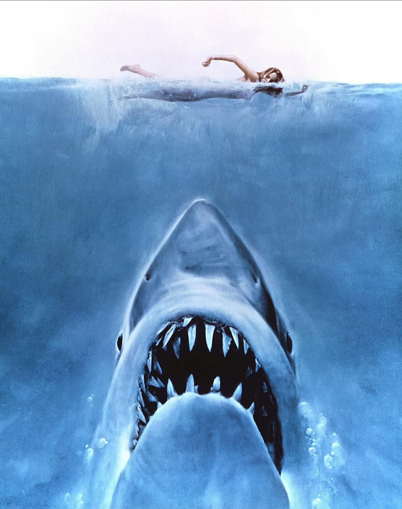 "Der Weiße Hai" gilt als erster Sommer-Blockbuster der Filmgeschichte. Filme, die in den Sommermonaten anliefen, hatten davor keine Chance an den Kinokassen. Das änderte sich 1975, als Spielbergs Schocker auf das Publikum losgelassen wurde.