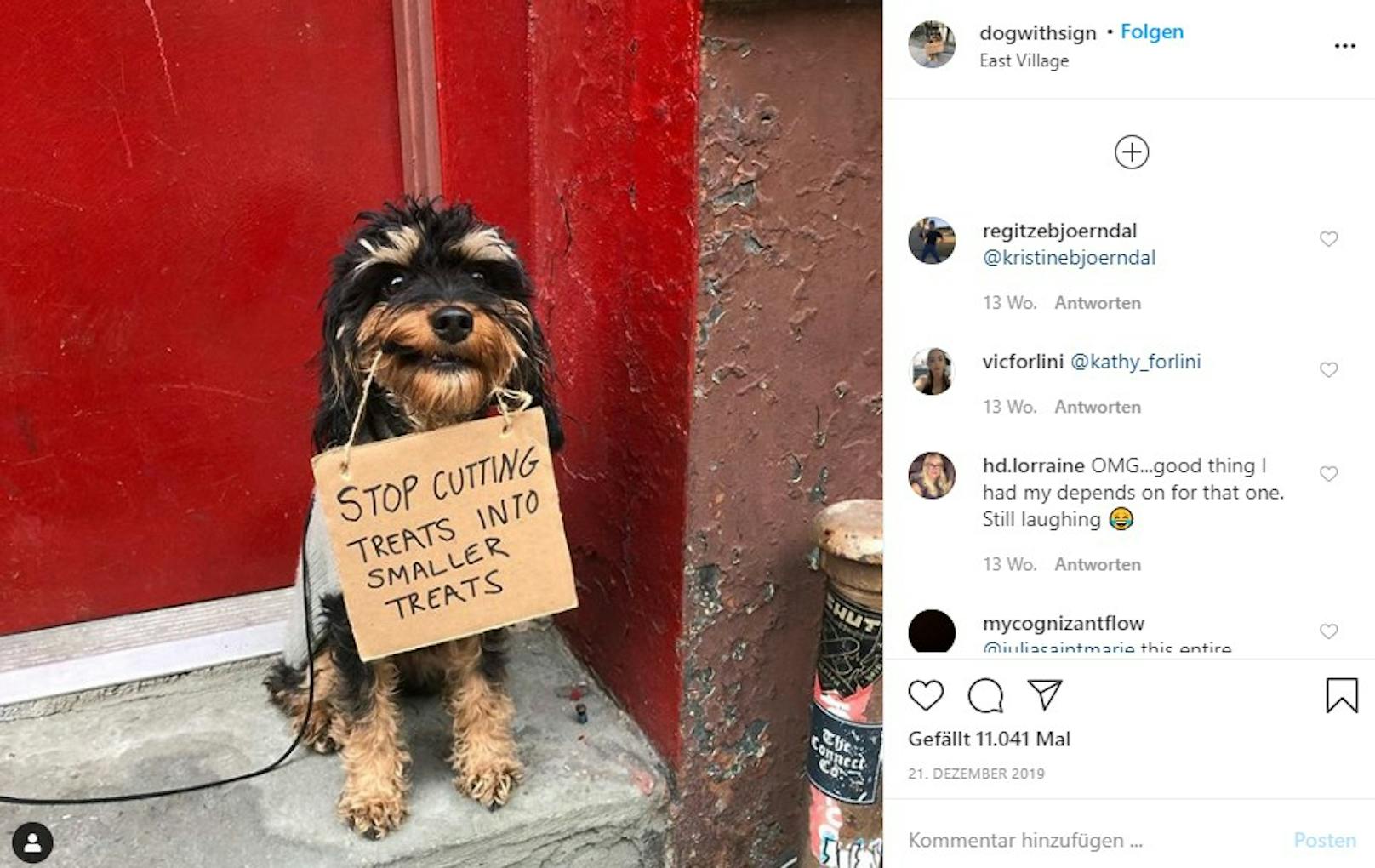 Der Instagram-Account "Dog with Sign" erobert das Internet. Darauf zu sehen: Ein New Yorker Hund, der lustige Schilder im Maul hat. "Hör auf, Snacks in noch kleinere Snacks zu zerschneiden", fordert er hier.