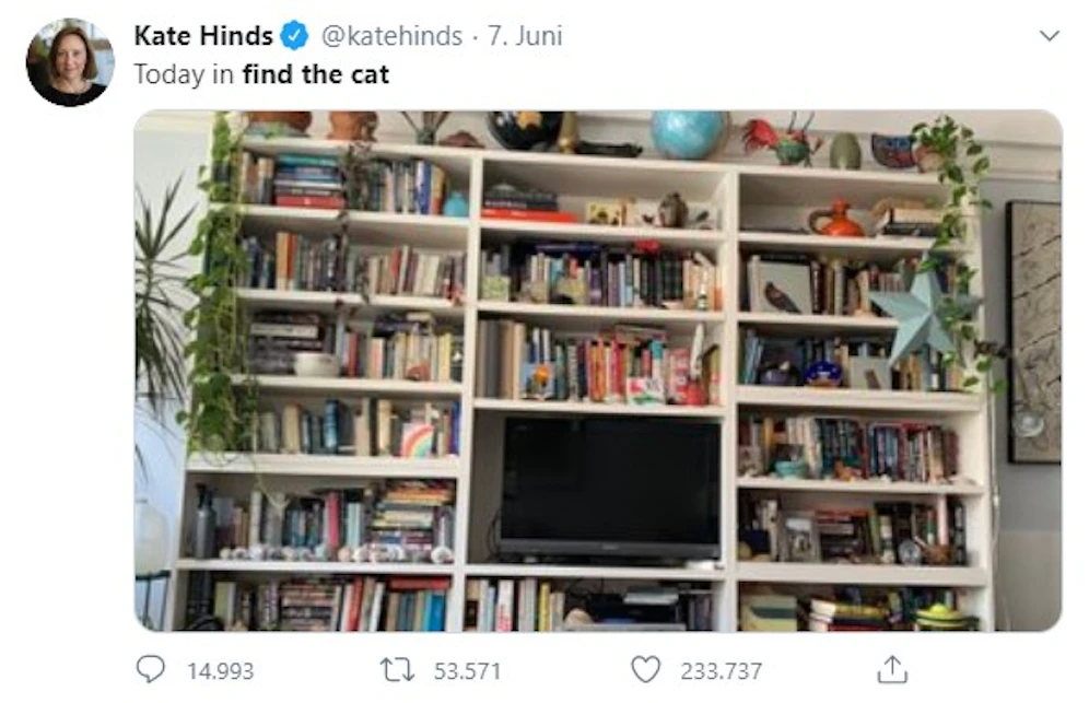 Kannst du die Katze auf diesem Foto finden?