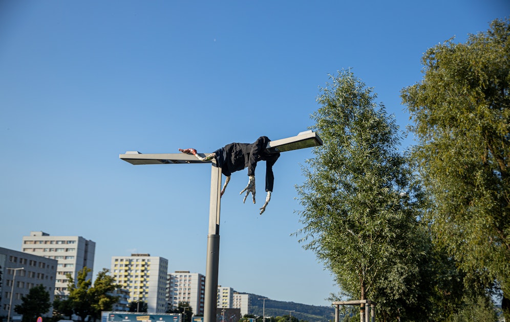 Dieser Mann auf der Laterne sorgt an der Donaulände für Aufsehen.