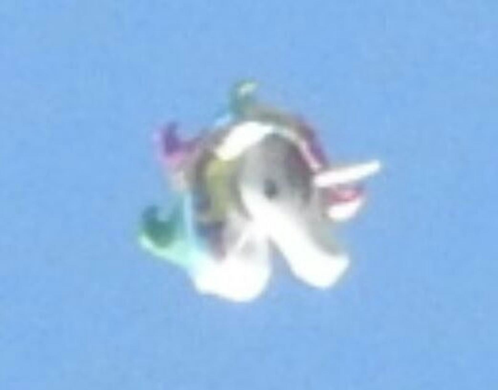 Es handelt sich um ein Einhorn-Luftballon.