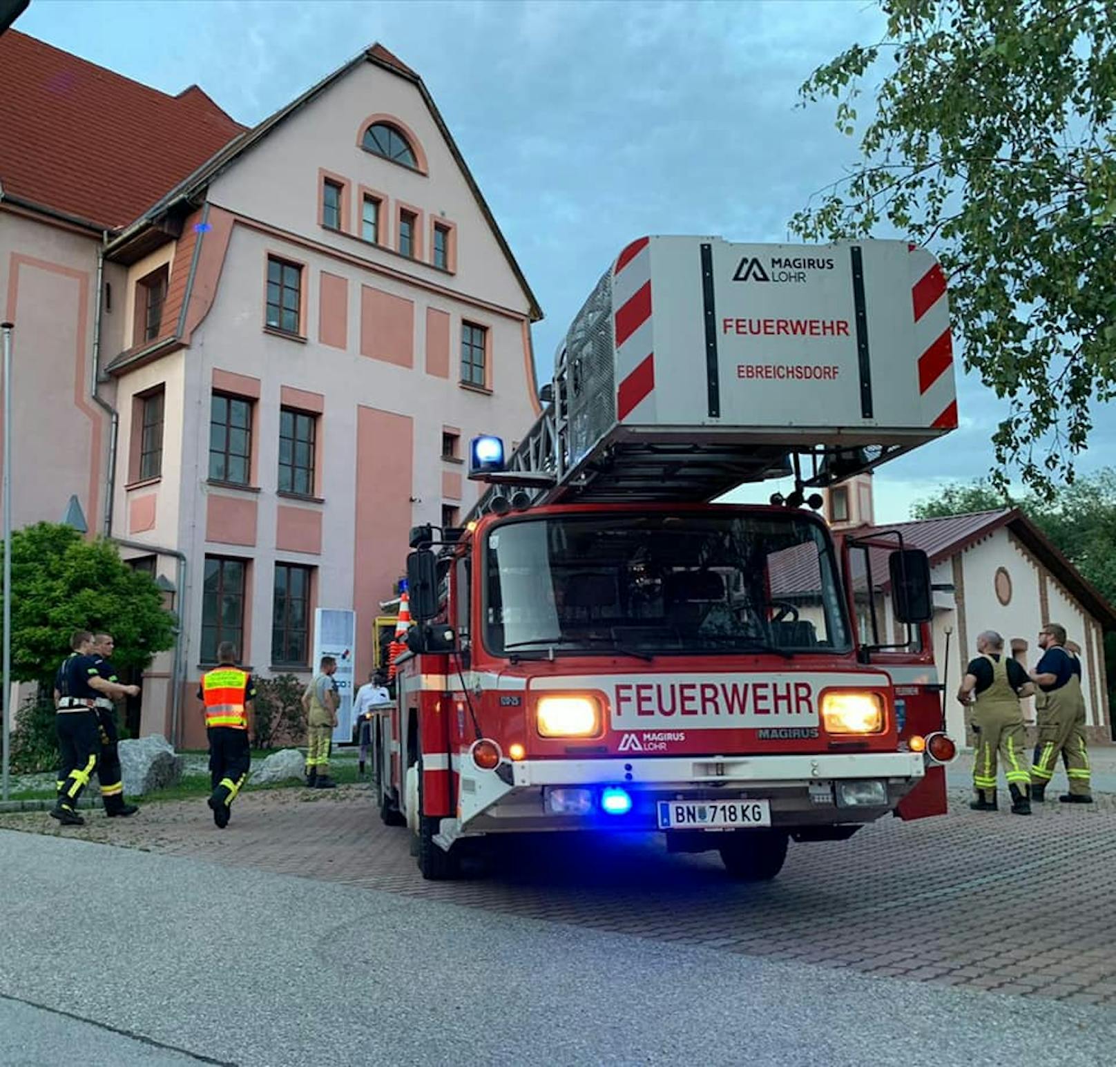 Feuerwehr rettete Schwalben in Oberwaltersdorf.
