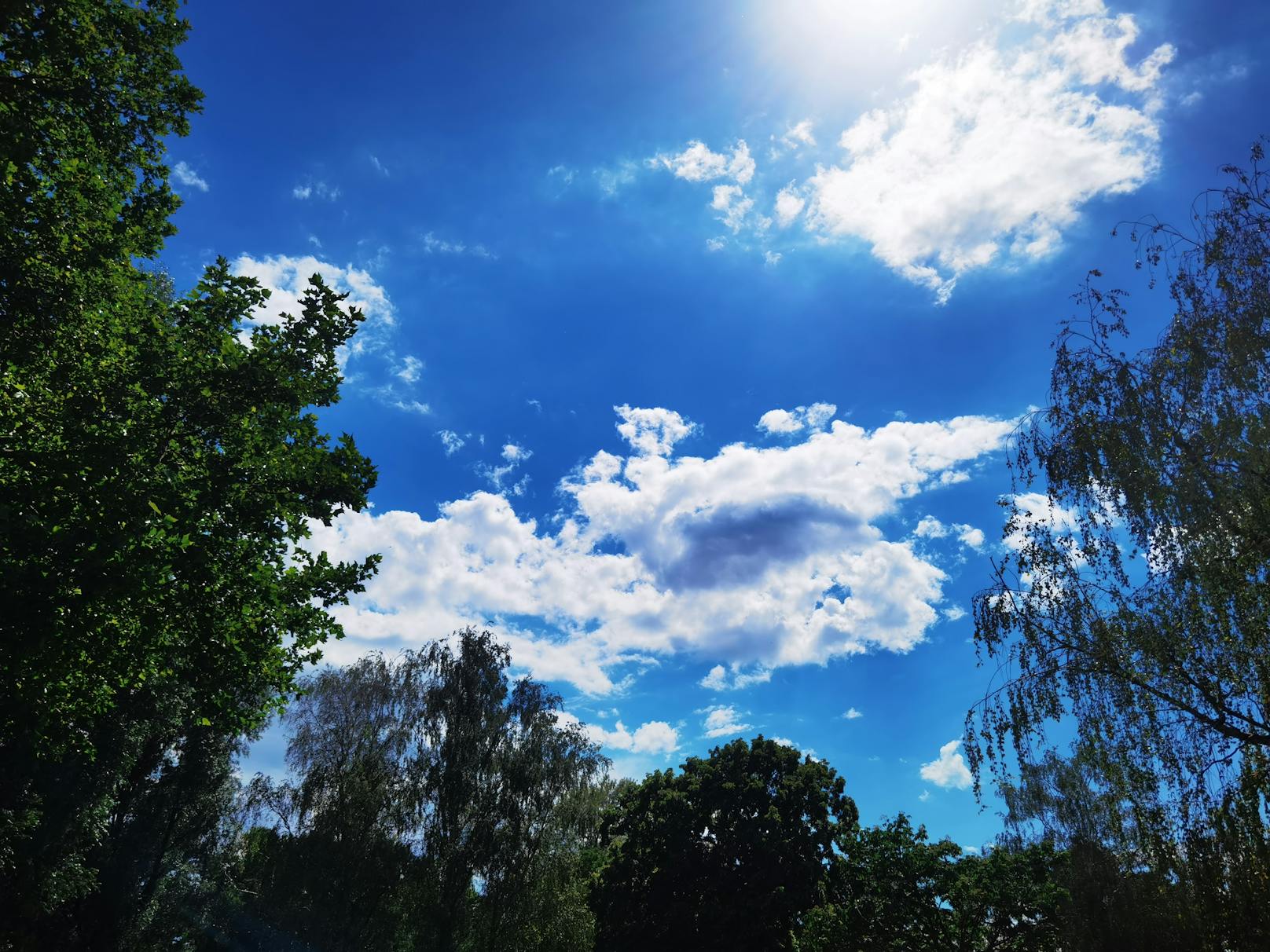 Sonne-Wolken Spiel im Floridsdorfer Wasserpark