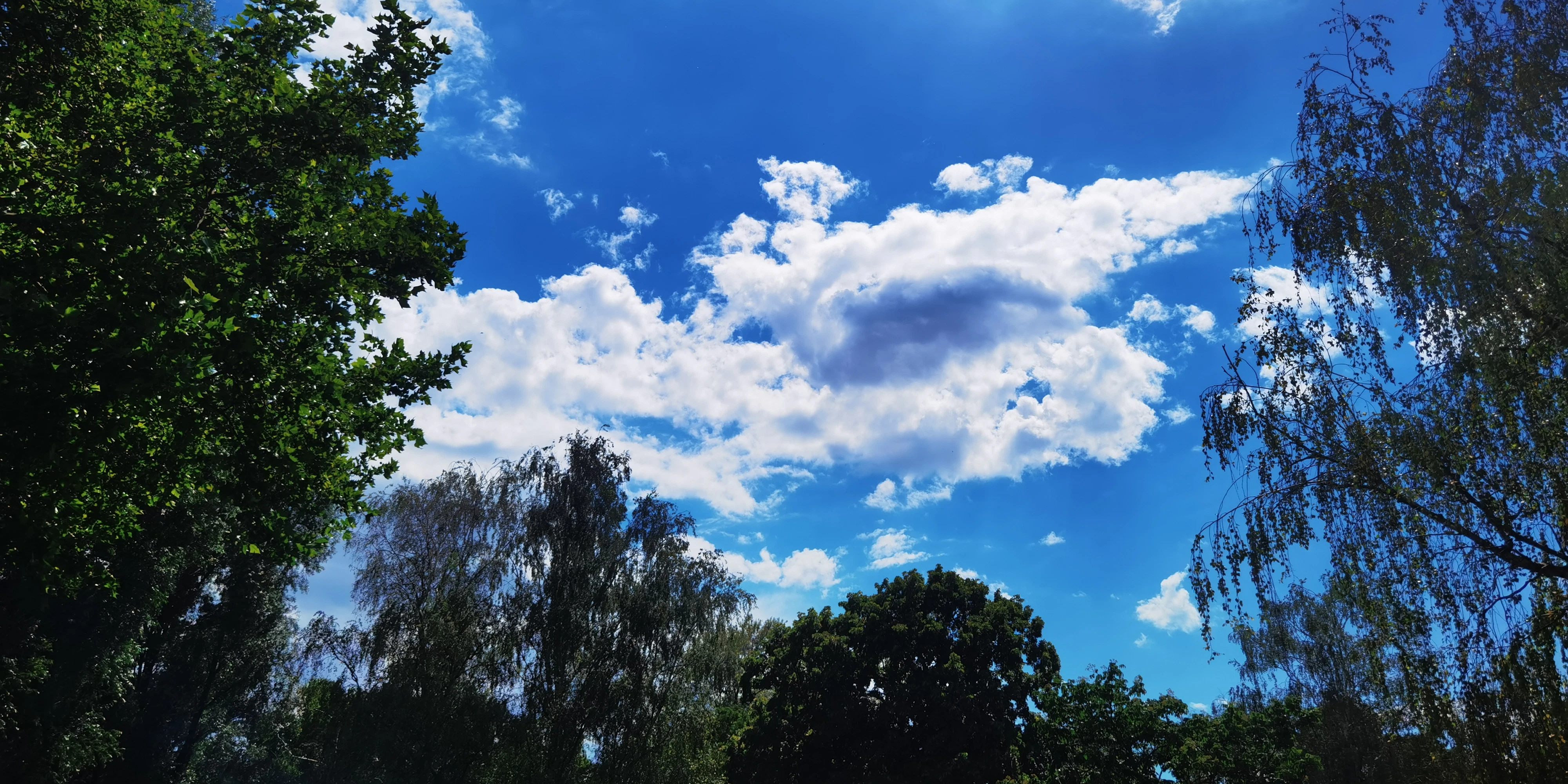 Sonne-Wolken Spiel im Floridsdorfer Wasserpark
