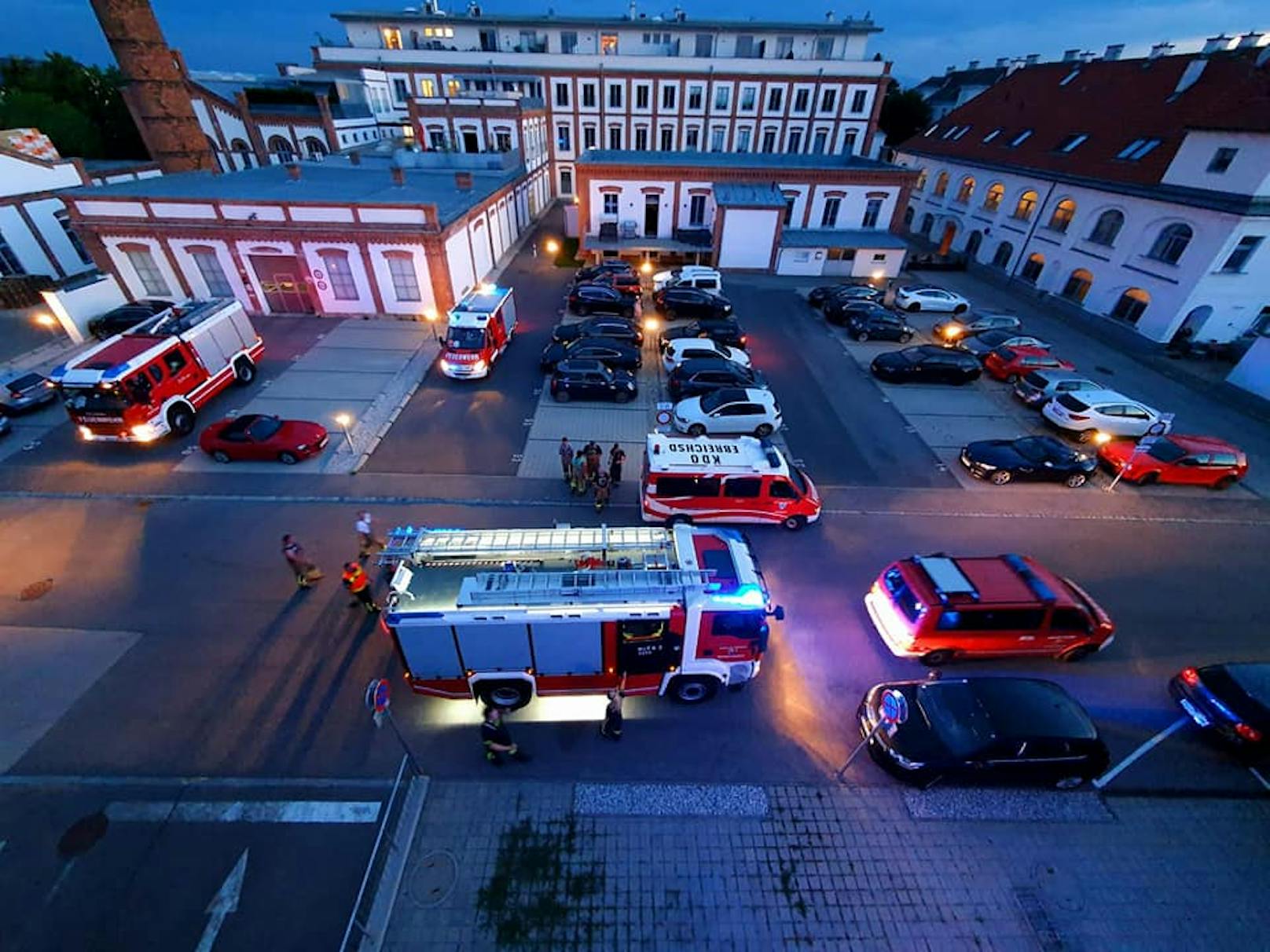 Feuerwehr rettete Schwalben in Oberwaltersdorf.
