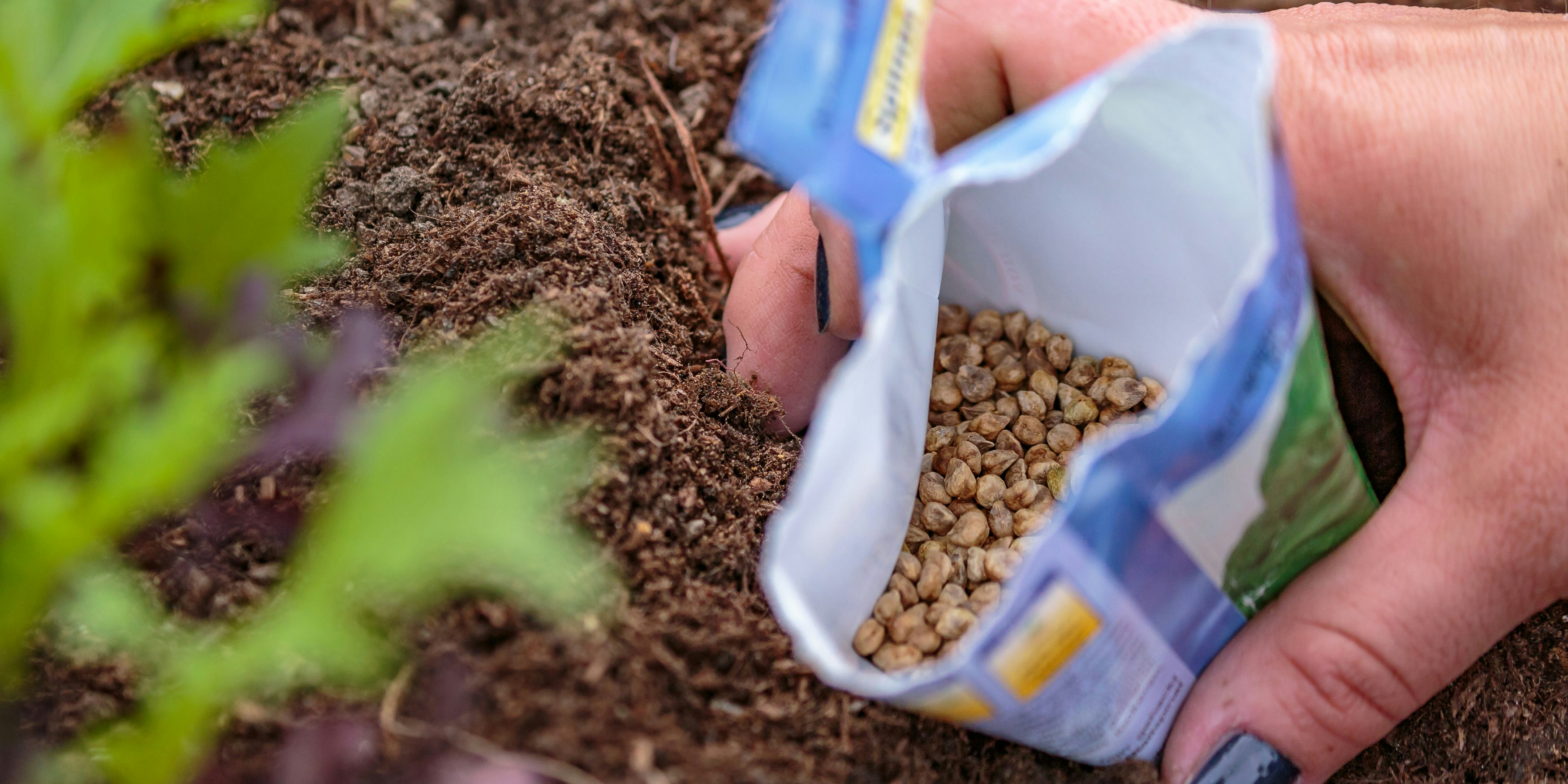 Der Patent-Inhaber hat es in den Händen, wer wann wo welches geschützte Gemüse anbauen darf.
