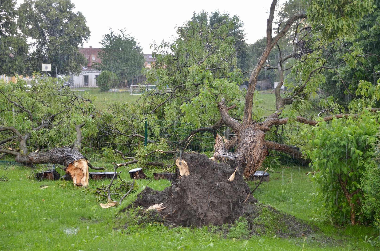 Ein heftiges Hagel-Unwetter hat in Pottendorf (Bezirk Baden) schwere Schäden verursacht.