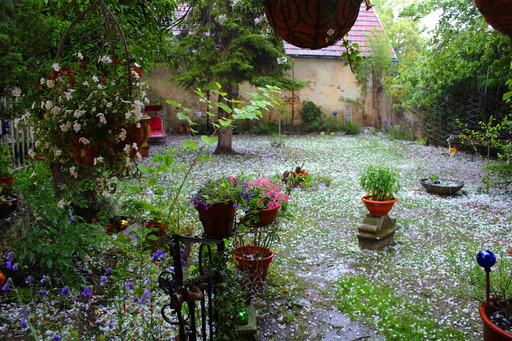 Hagelunwetter Bad Fischau