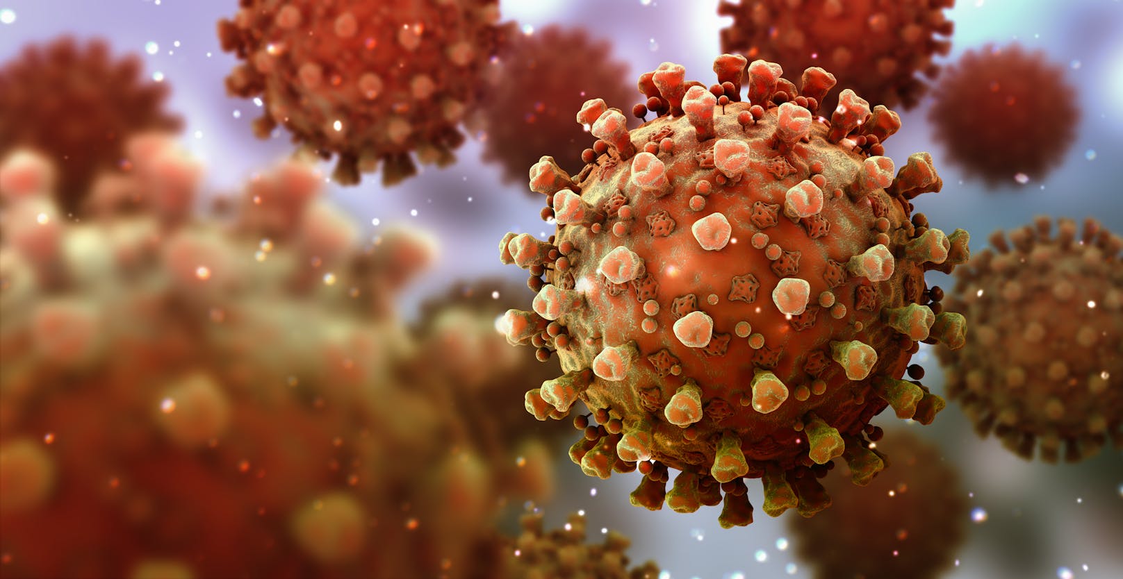 Forscher haben die Überlebensdauer des Coronavirus getestet. Desto wärmer es wird, desto länger überleben sie.&nbsp;
