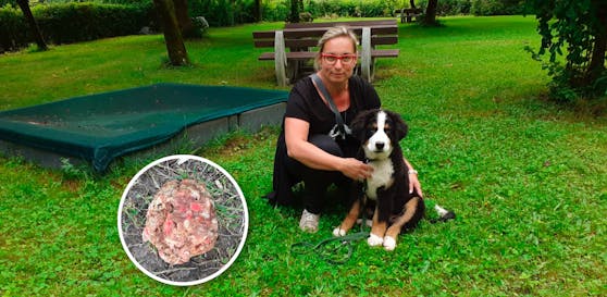 Hundebesitzerin Iris Fries mit ihrem Bruno