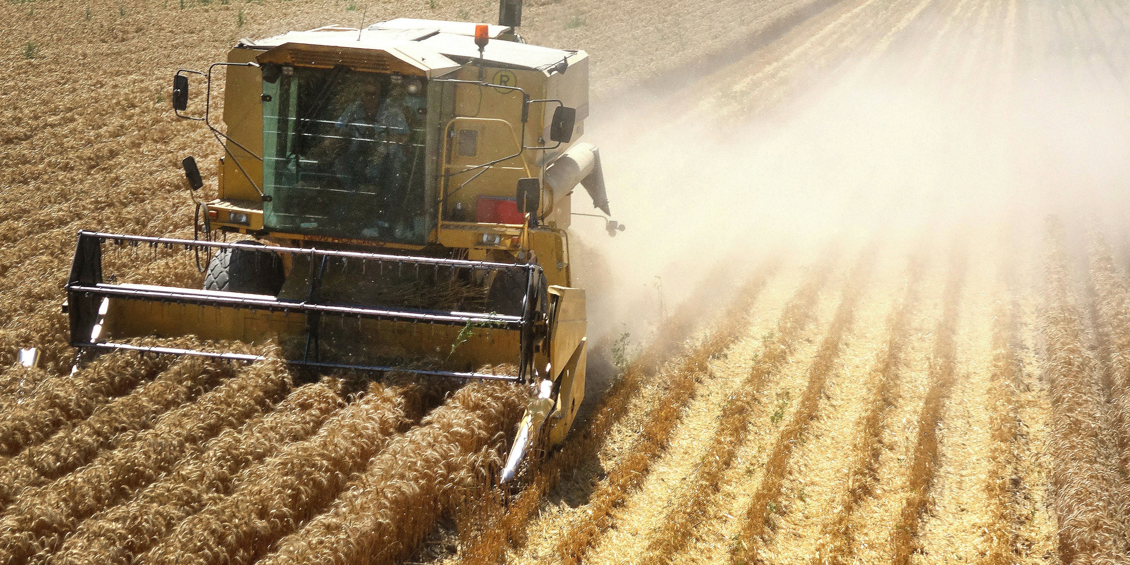 200.000 ha Weizen würden durch unseren verschwenderischen Umgang direkt in die Mülltonne wandern, klagt der KBVÖ