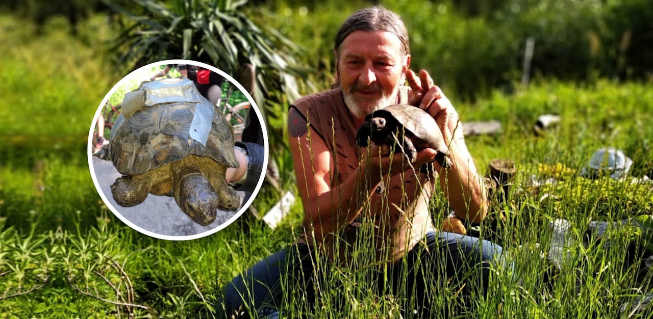Heute.at - Kurt (62) gehört die Peilsender-Schildkröte