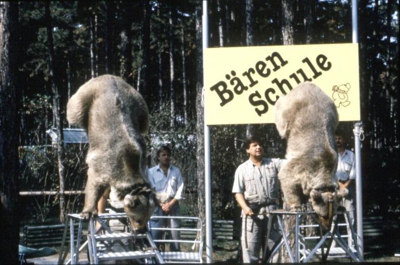 Tom und Jerry in der "Bärenschule"