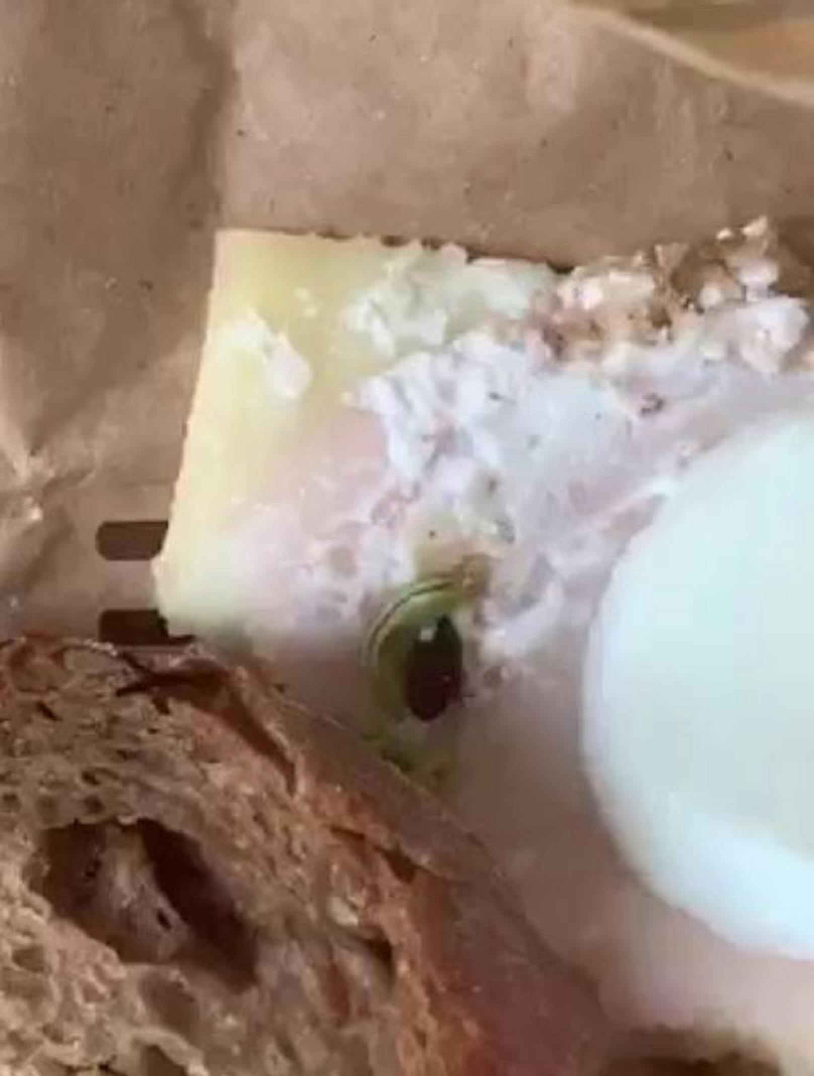 Nachdem Liza (24) schon das halbe Brot aß, entdeckte sie die Raupe in ihrem Backwerk-Sandwich.