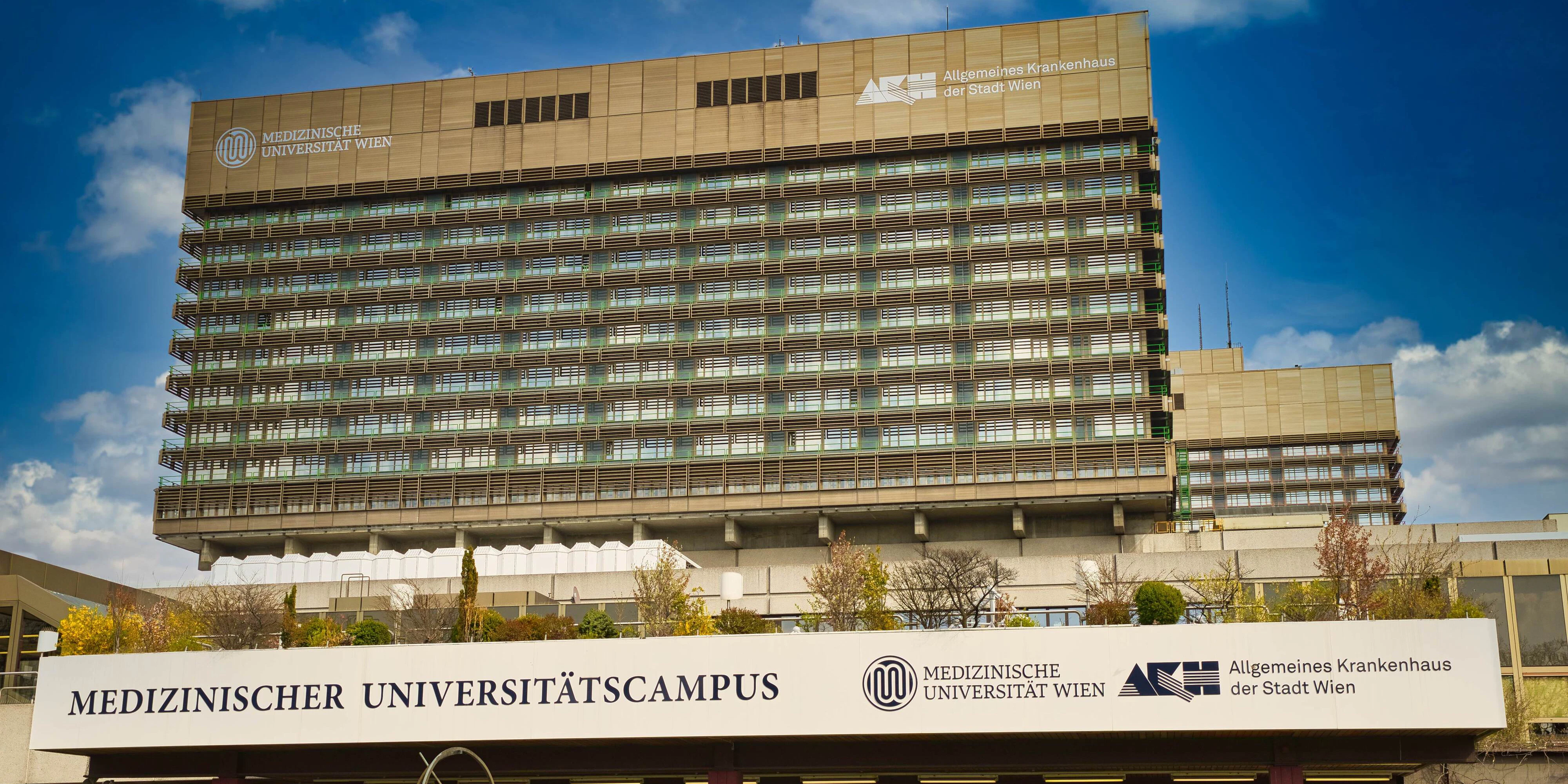 Das Wiener AKH