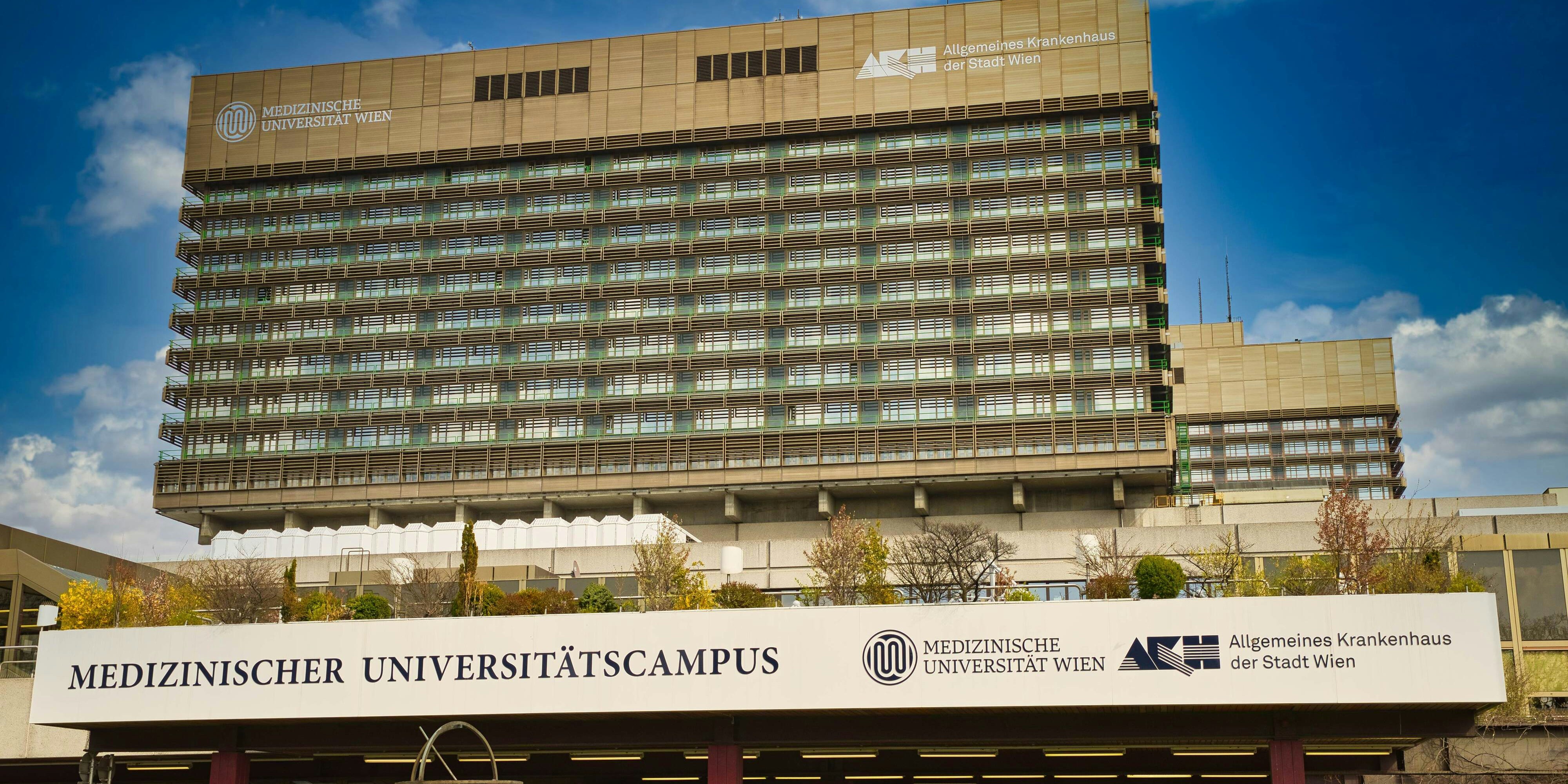 Das Wiener AKH
