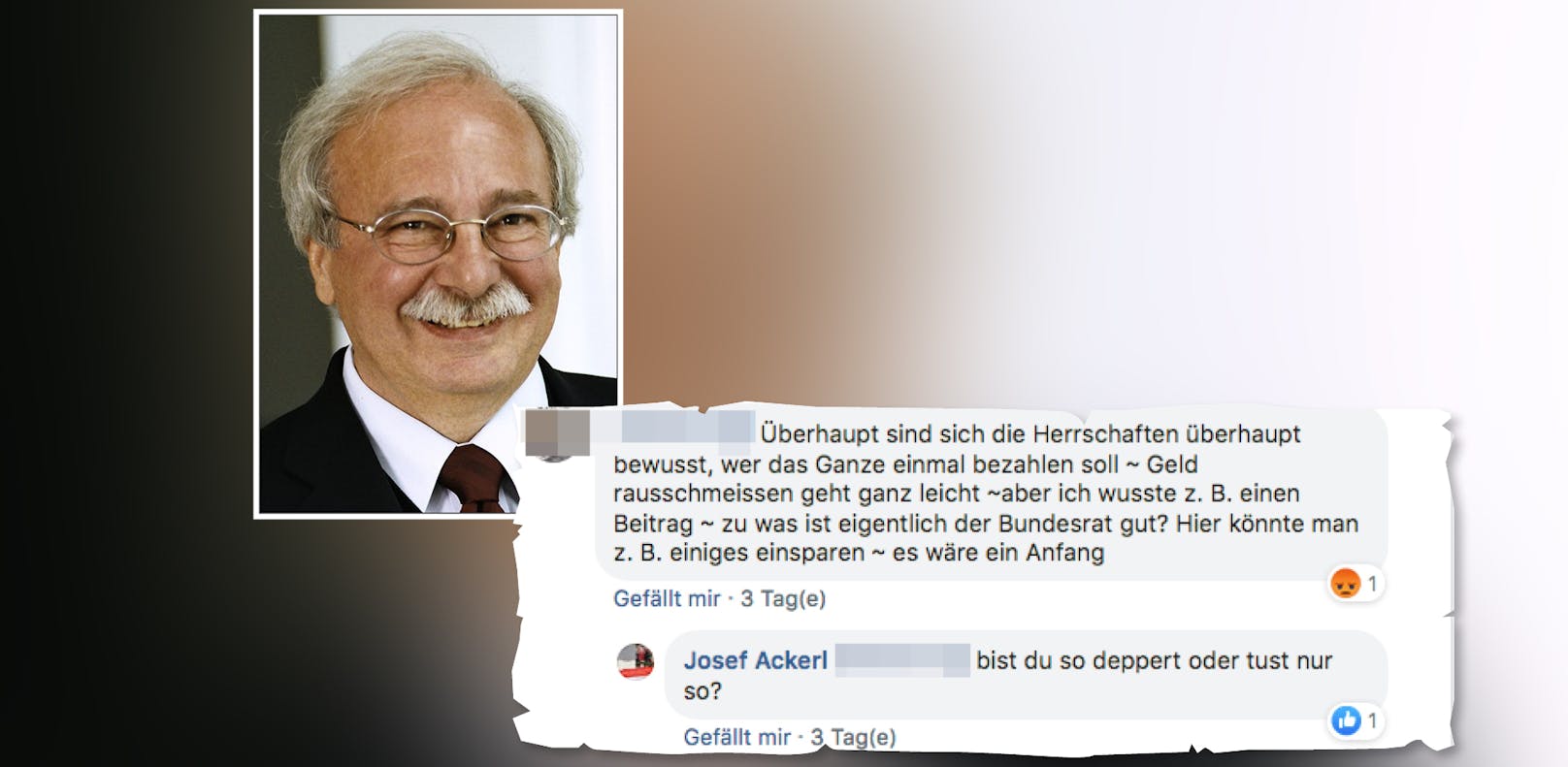 Auf Facebook beleidigte der ehemalige SPOÖ-Chef Josef Ackerl einen User.