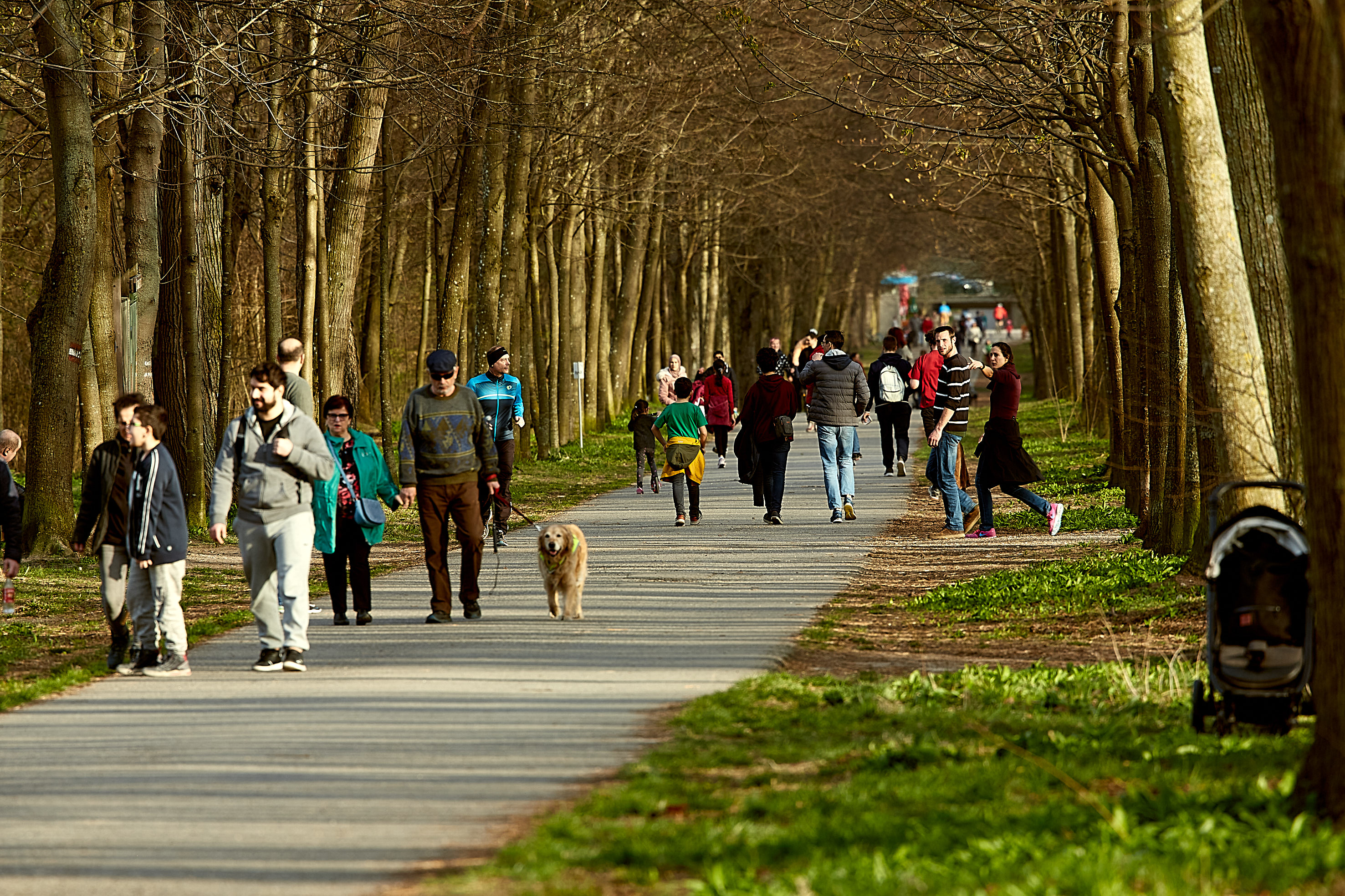 In Wien hat es in den letzten 24 Stunden 26 Neu-Infektionen gegeben.