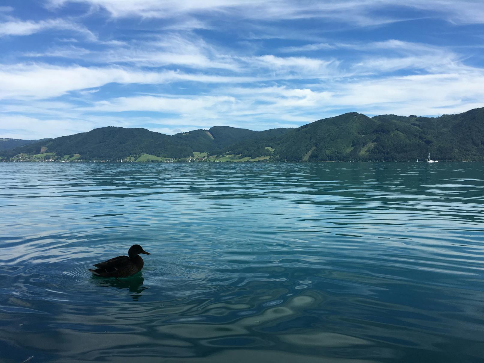 Attersee (Oberösterreich): Natur ist immer eine Inspirationsquelle für Künstler. Diesen See suchte sich Gustav Klimt aus. Der Großteil seiner Landschaftsbilder lässt seine Bewunderung für den See sichtbar werden. Auch seine Fläche ist beeindruckend. Der Attersee ist der größte komplett in Österreich liegende See. Ein richtig malerisches Highlight ist auch sein Nordende. 
