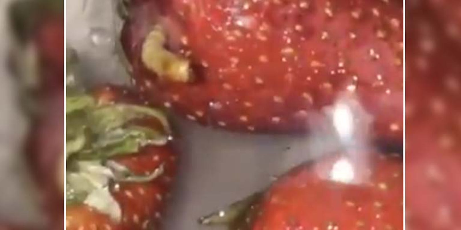Stecken in Erdbeeren wirklich weiße Würmer?