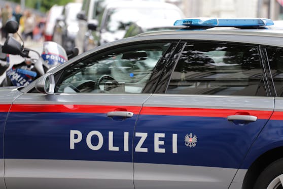 Die Beamten konnten den Tatverdächtigen festnehmen.
