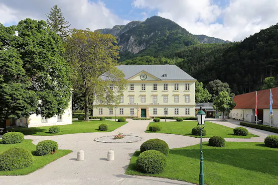 Gro e Antik rpertest Studie In Reichenau An Der Rax Nieder sterreich 