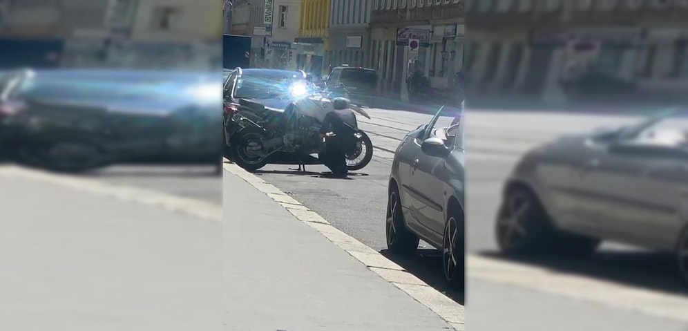 Was genau sucht die Beamtin da?