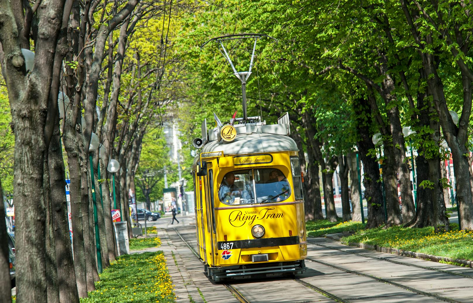 Die traditionelle Ring Tram führt auf der Wiener Ringstraße einmal rund um die historische Altstadt.