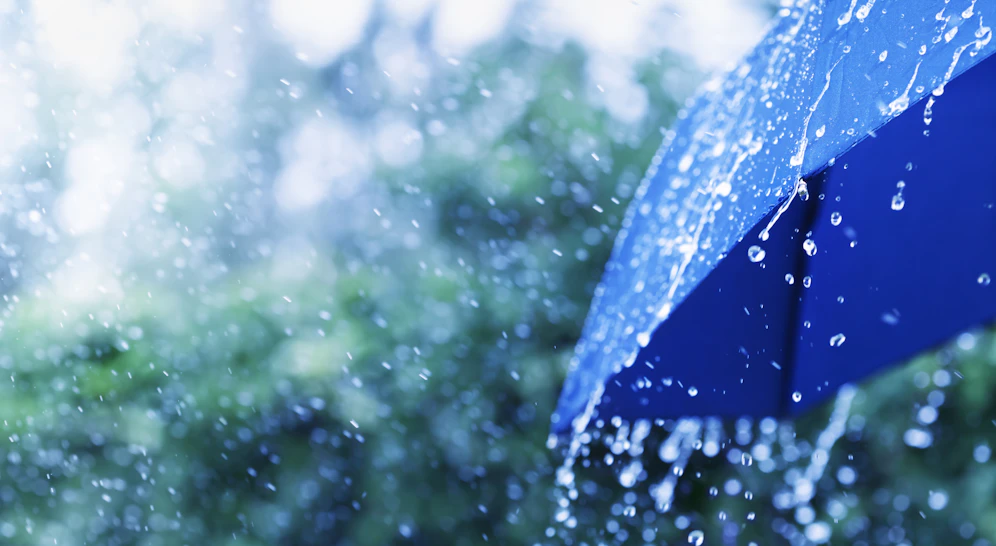Regen