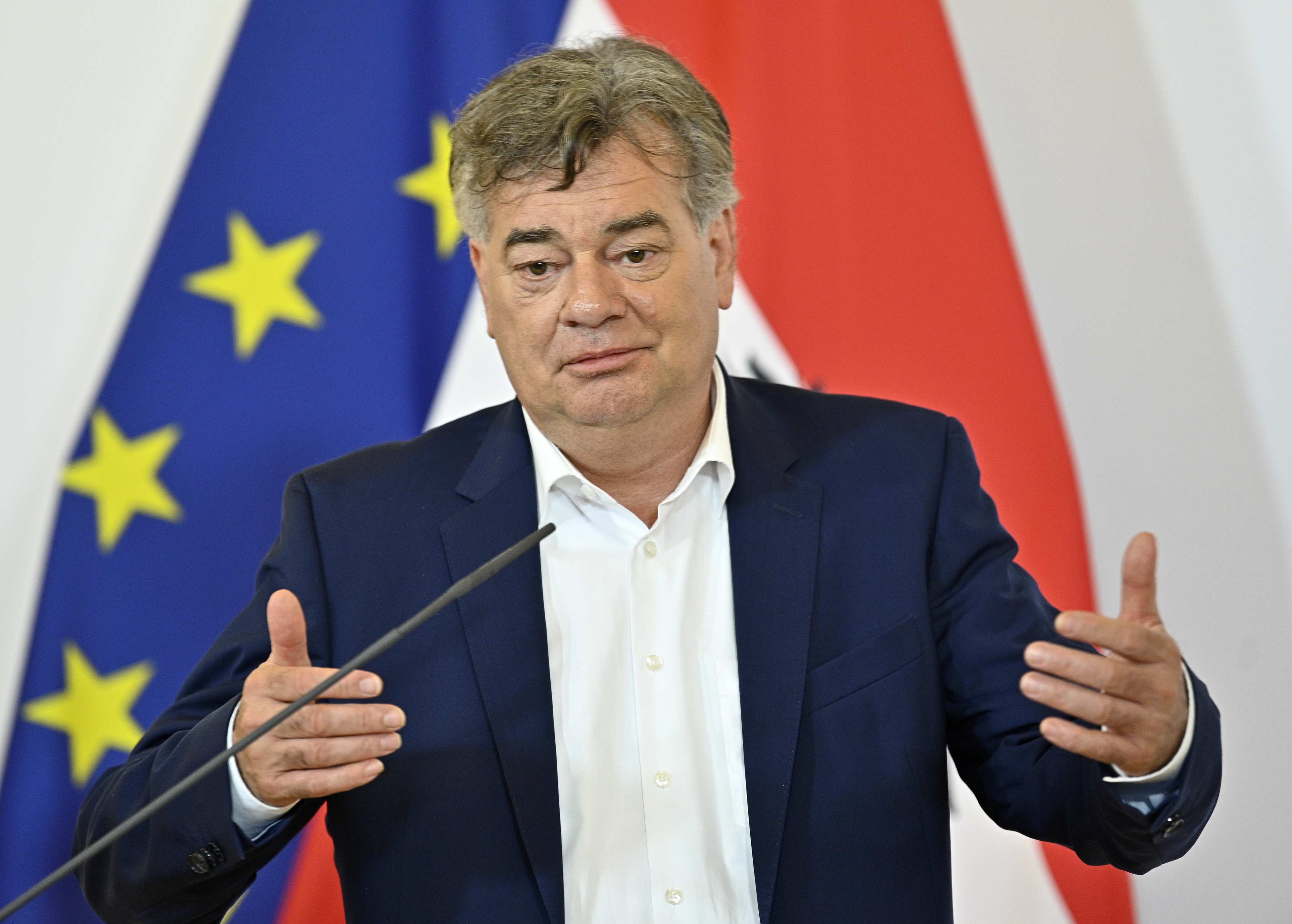 Werner Kogler