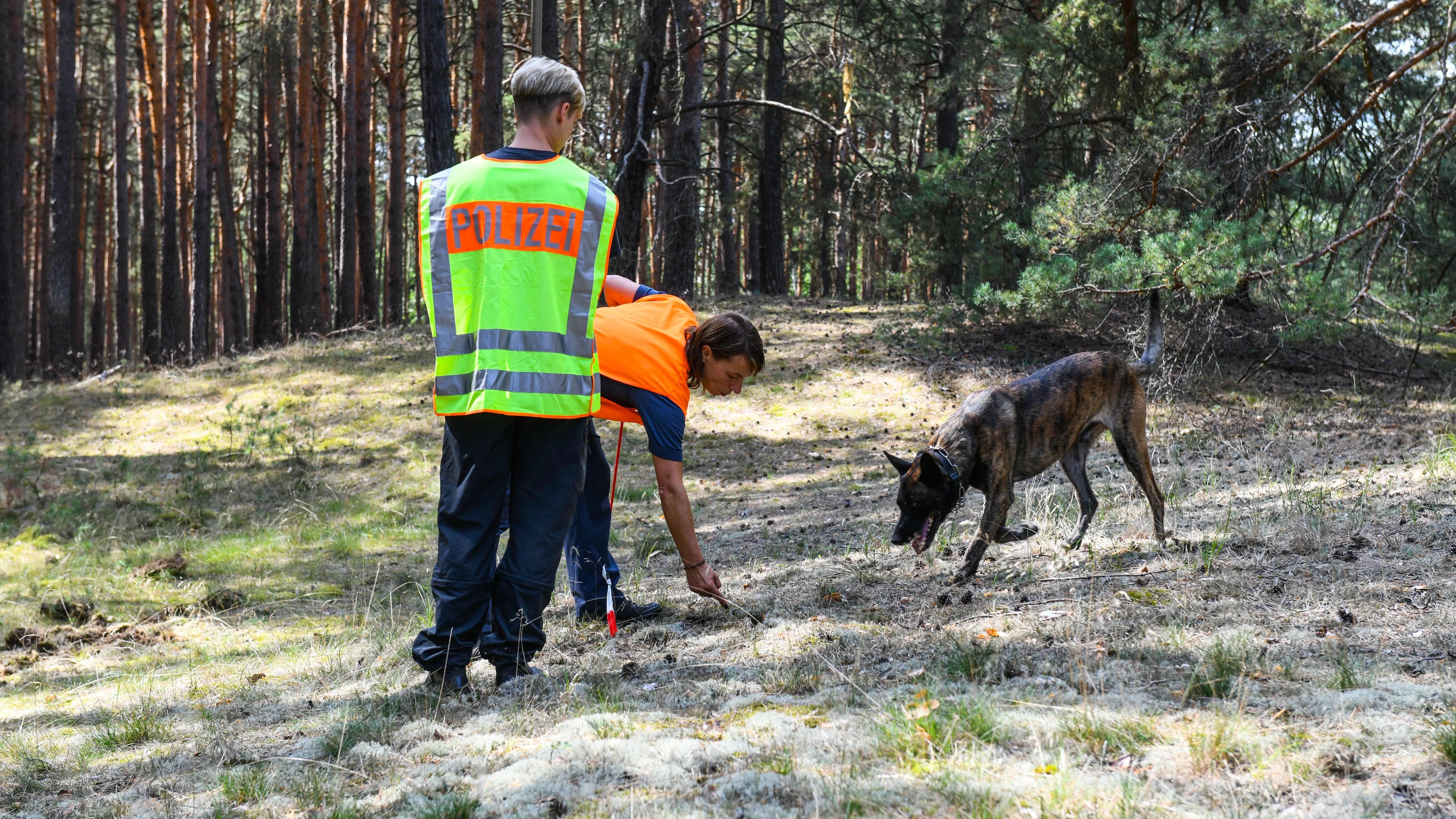 Deutsche Polizisten suchen mit Spürhunden in einem Wald nach einer Vermissten. Symbolfoto