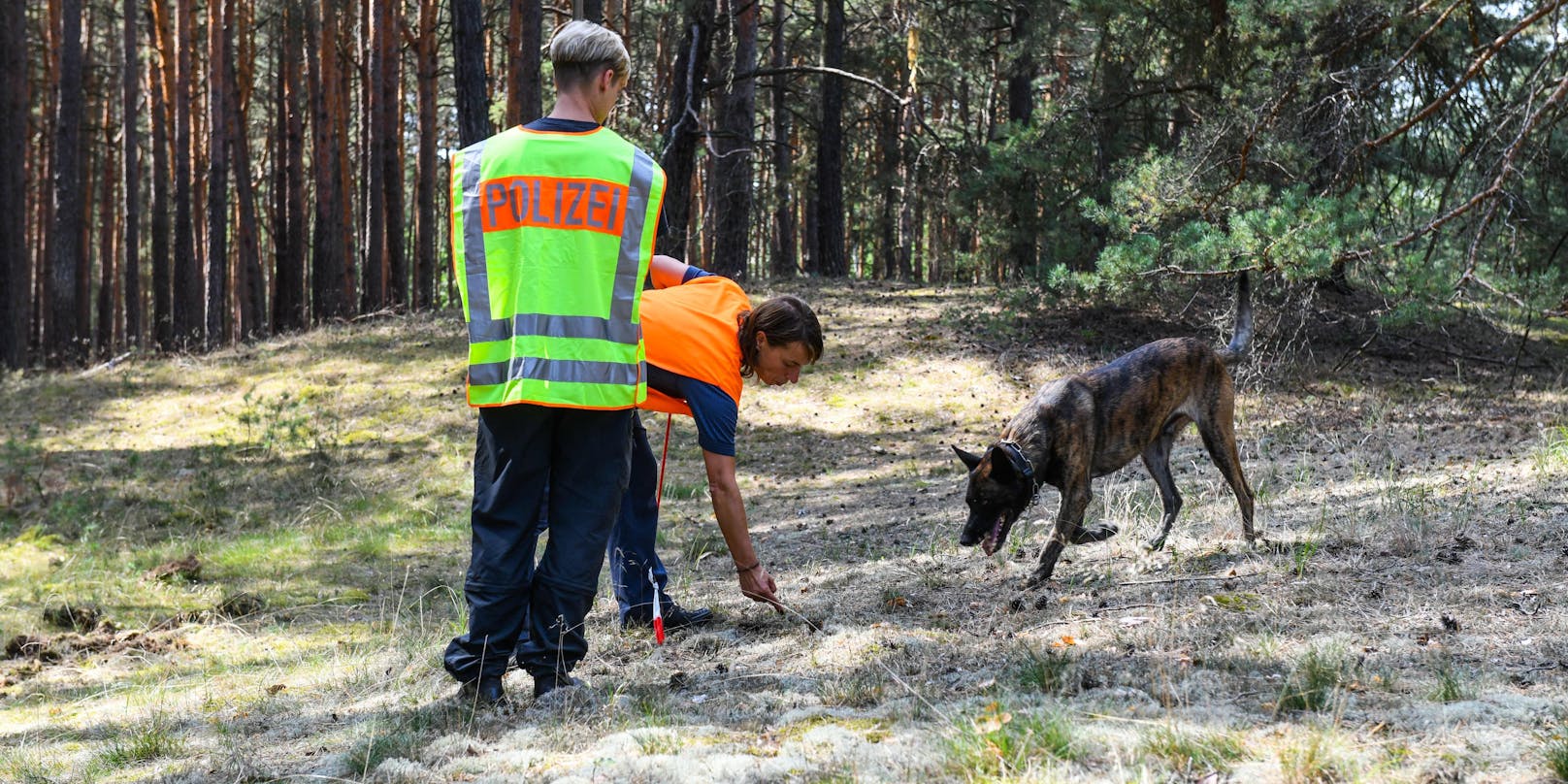 Deutsche Polizisten suchen mit Spürhunden in einem Wald nach einer Vermissten. Symbolfoto