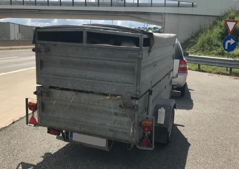 Der viel zu kleine Anhänger und das Auto.