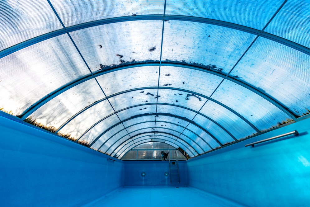 Unter einer solchen Pool-Abdeckung hatte der Mann eine Plantage angelegt.