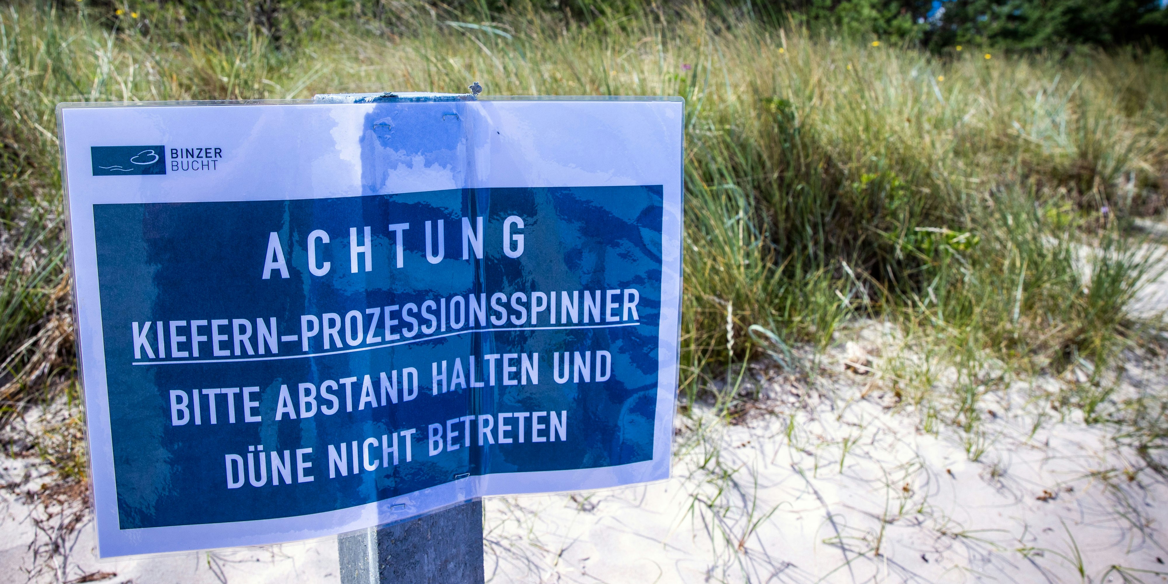 Warnschilder weisen auf die Gift-Raupen hin.