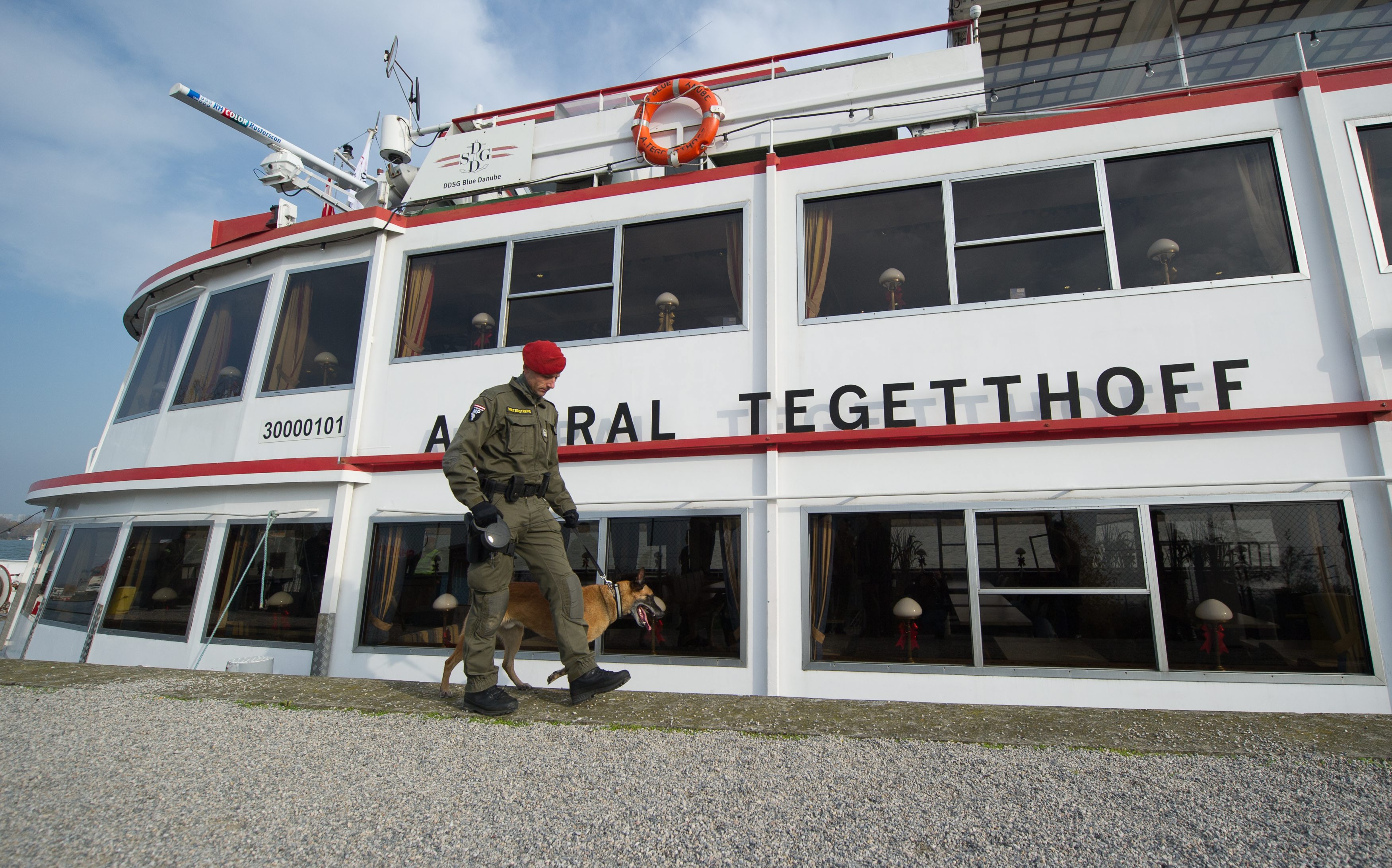 Die Bundesheer-Spürhunde sollen Corona-Kranke erschnüffeln können.
