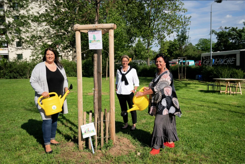 Wiener Wohnen sucht Paten für Jungbäume in den Wiener Gemeindebauten. Wohnbaustadträtin Kathrin Gaal (SPÖ, li. mit&nbsp;Wiener Wohnen-Direktorin Karin Ramser sowie wohnpartner-Leiterin Claudia Huemer, re.) kam als Erste mit der Gießkanne&nbsp;in die Per Albin Hansson-Siedlung (Favoriten).&nbsp;