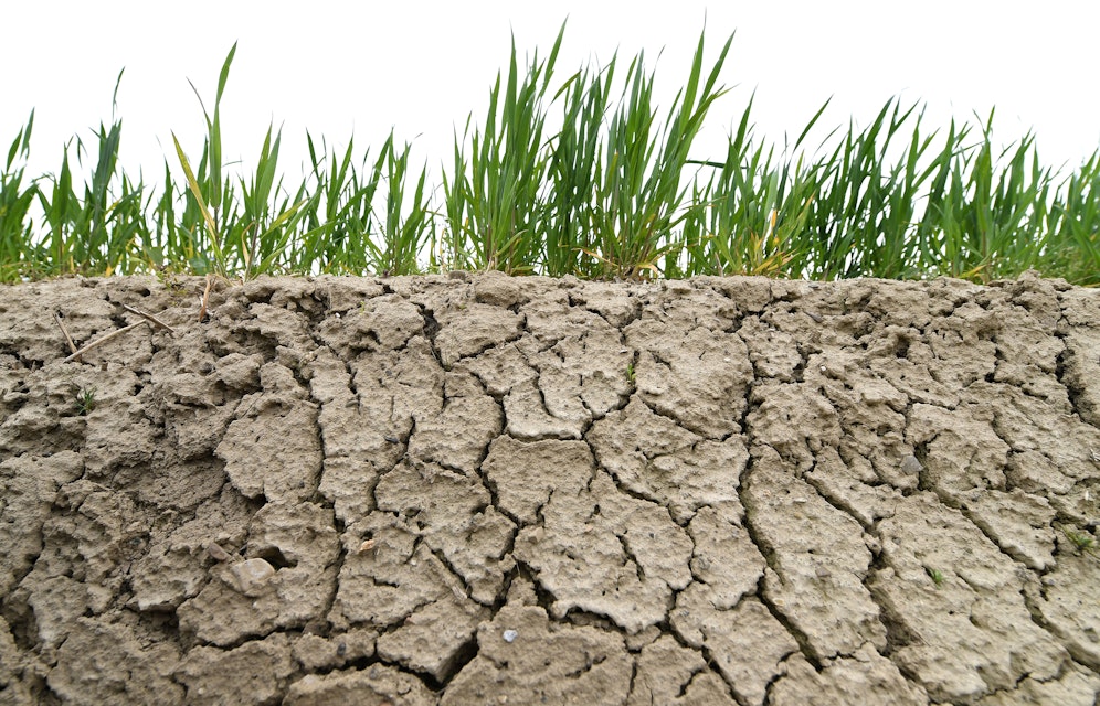 Ausgetrocknete Erde im Randbereich eines Ackers aufgenommen am Freitag, 26. April 2019, in Mank in Niederösterreich