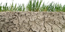 Dürre-Katastrophe – In Italien wird die Lage dramatisch