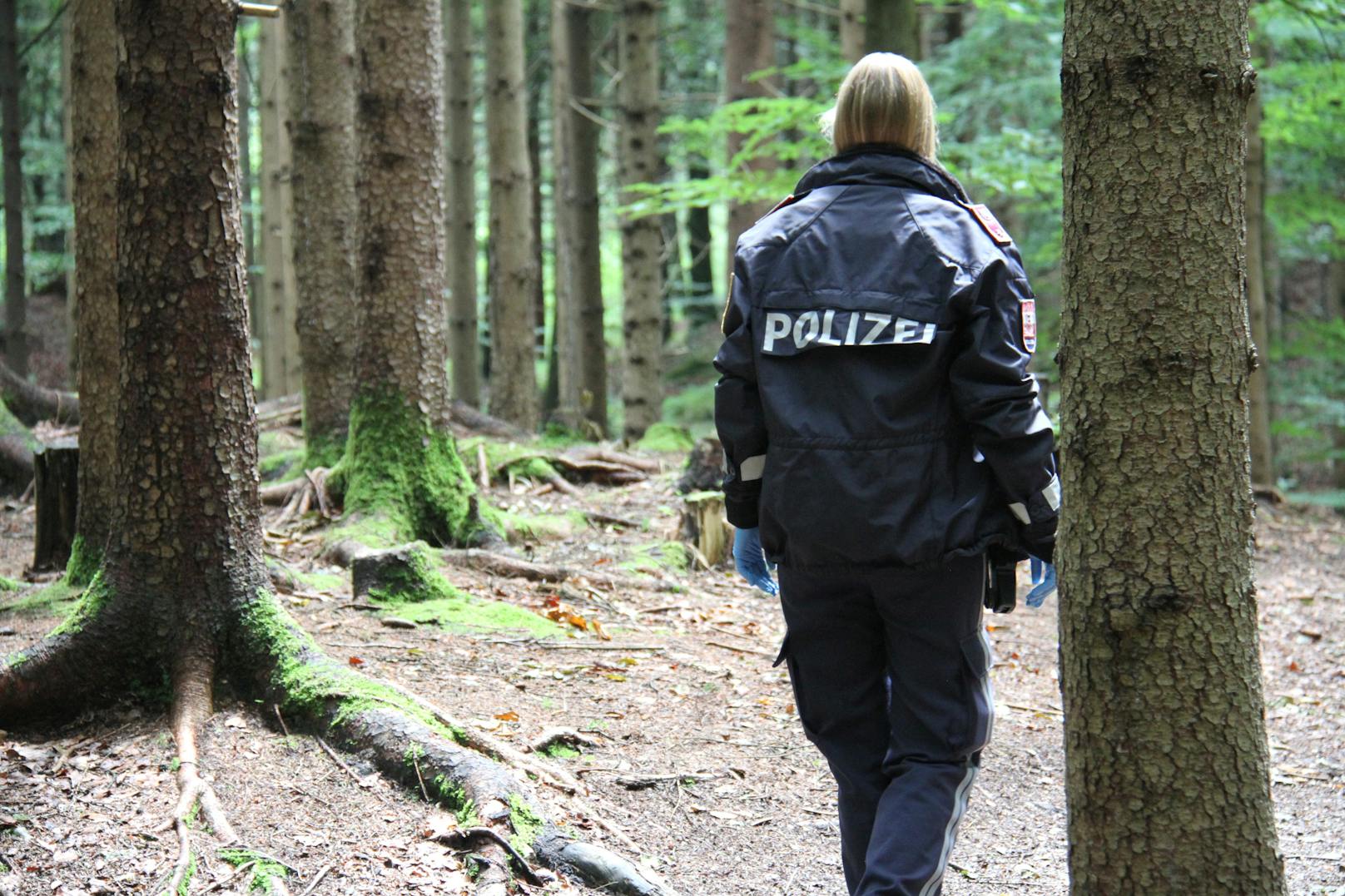 In einem Wald im Tiroler Kramsach sind vier Kinder und eine Kindergärtnerin von Erdwespen attackiert worden. 