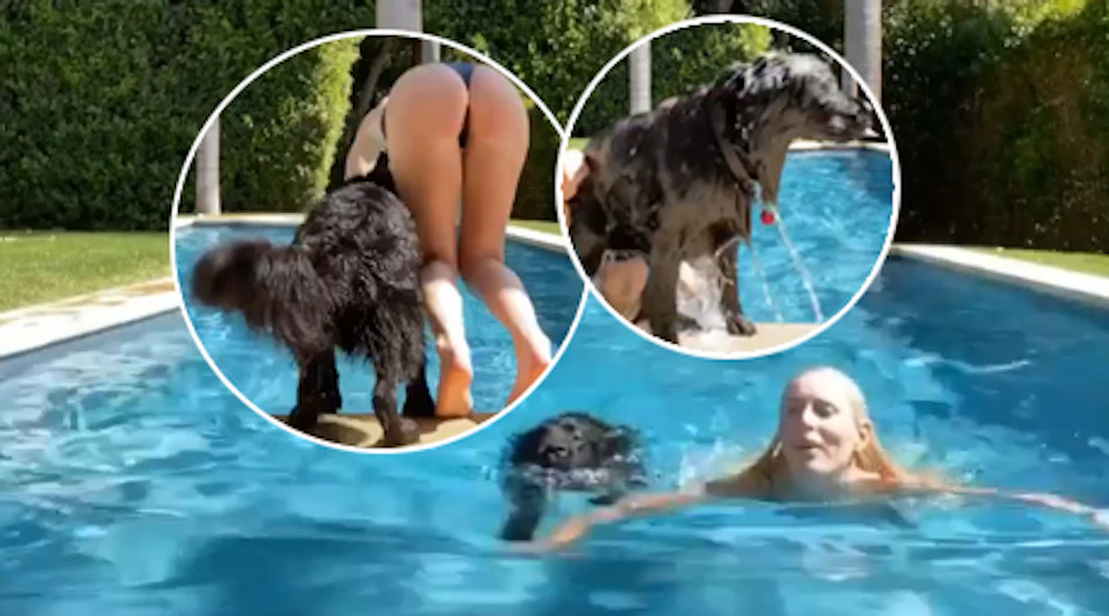 Vonn vs. Hund - das Duell.