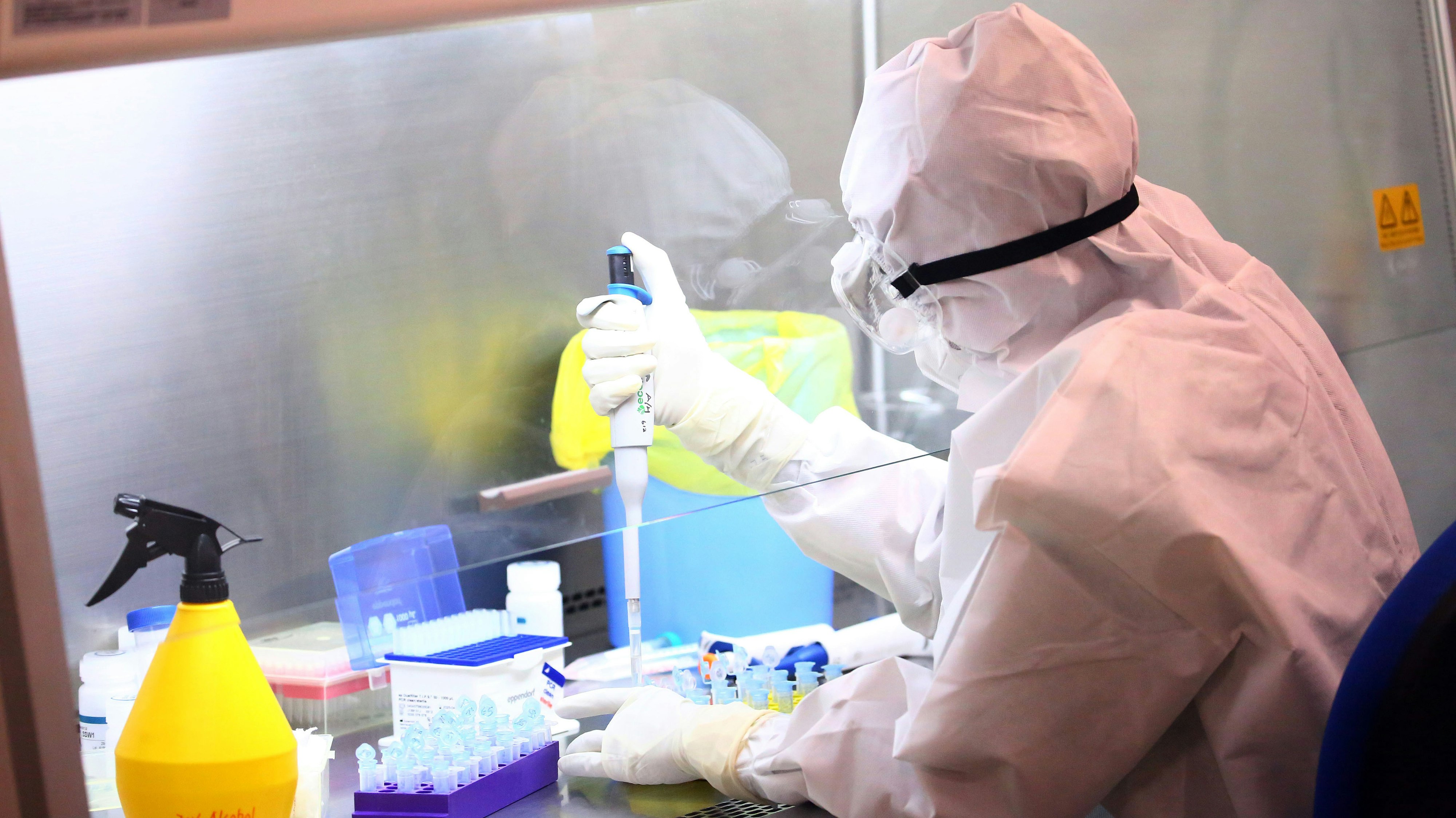 Neue Hoffnung im Kampf gegen das Coronavirus