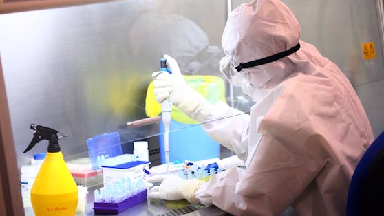 Neue Hoffnung im Kampf gegen das Coronavirus