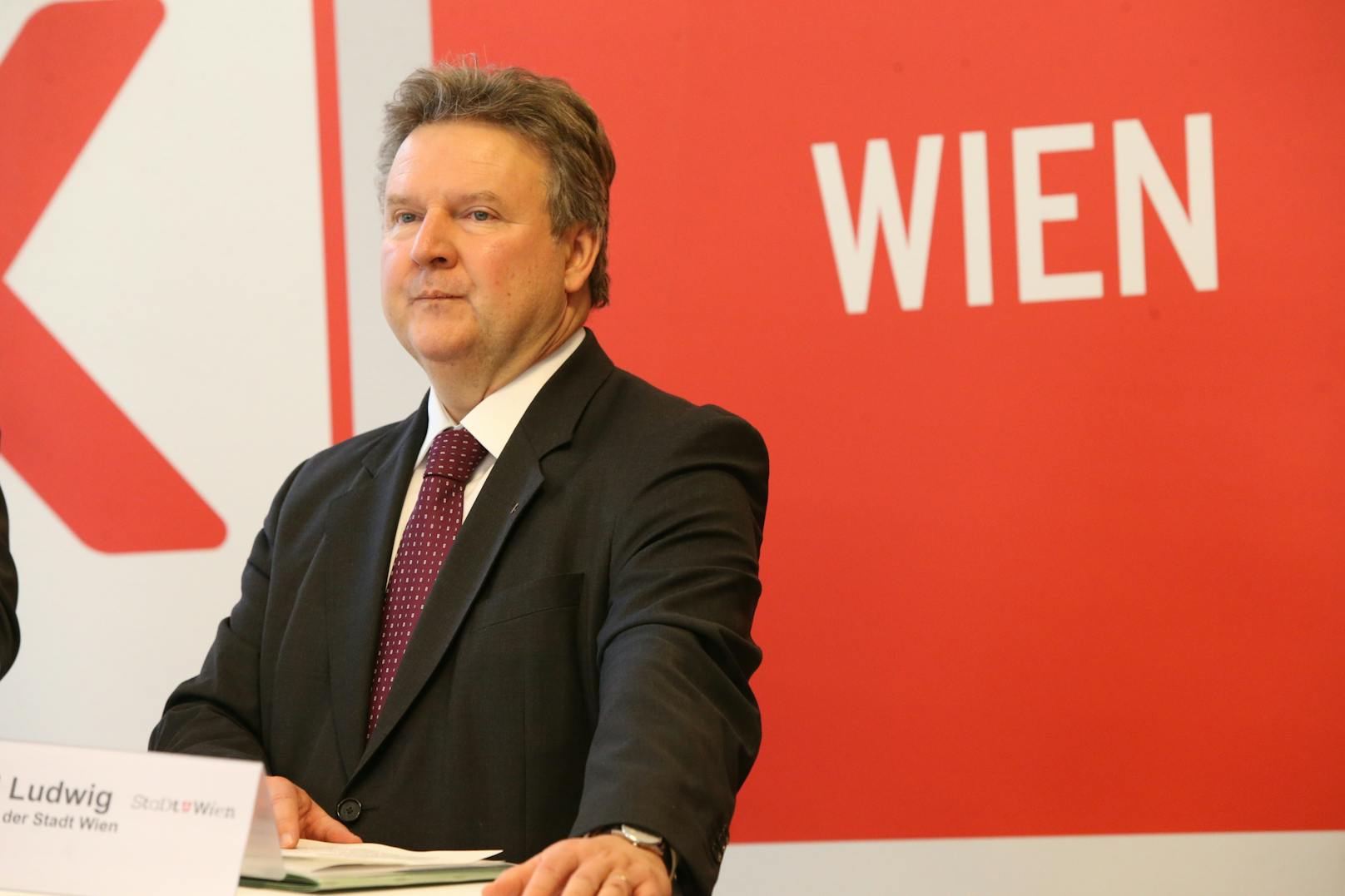 Fünf von sechs Spitzenkandidaten müssen sich im Herbst in erstmals in einer Wahl beweisen. Auch für Stadtchef Michael Ludwig (SPÖ) eine Premiere: Er will als Titelverteidiger der SPÖ den ersten Platz sichern.