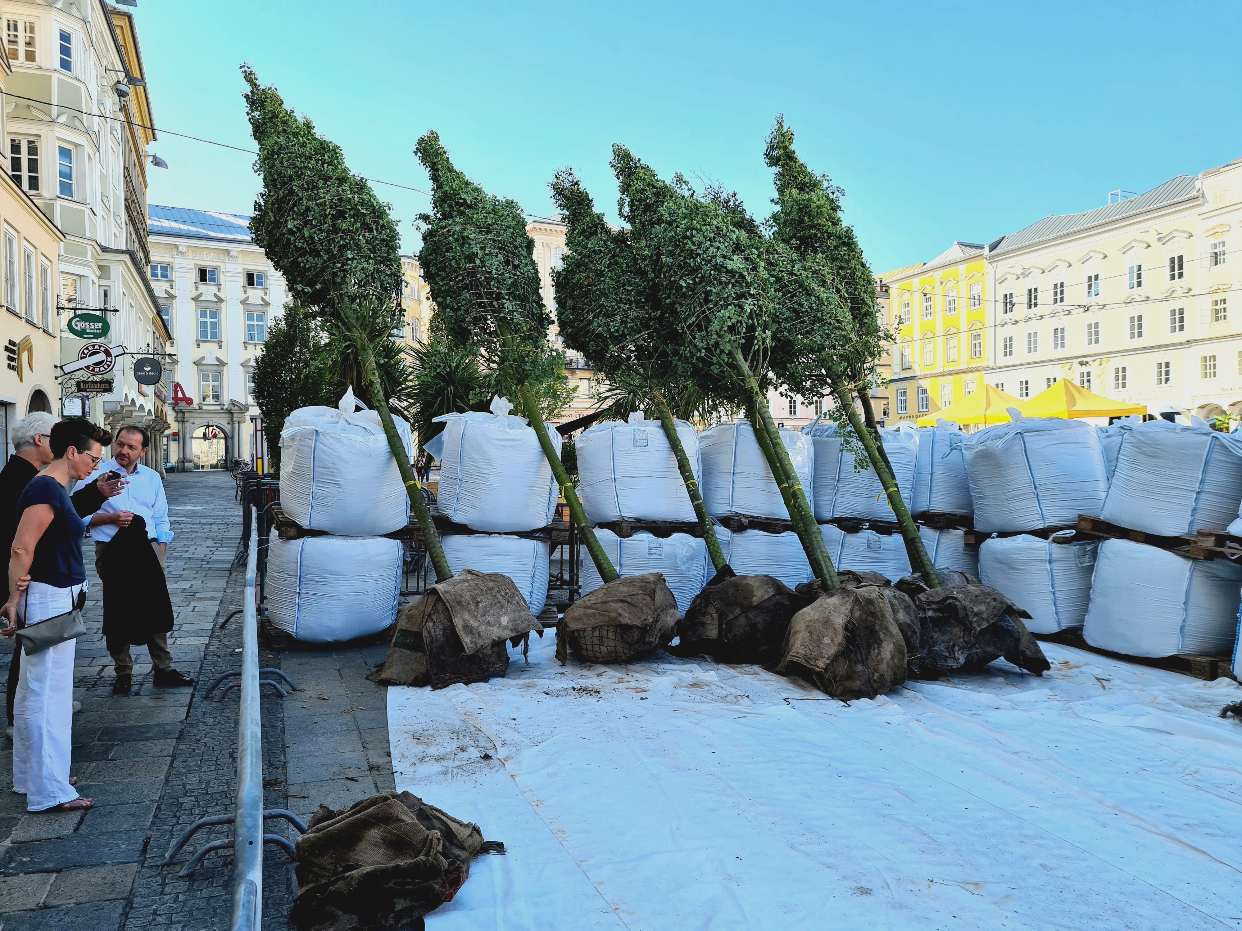 Die Linzer Lokalpolitiker Bernhard Baier (ÖVP) und Eva Schobesberger (ÖVP) beobachten die Anlieferung der Bäume.